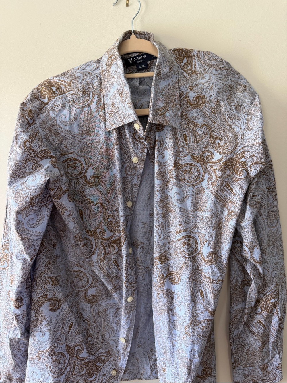 Daniel Cremieux Paisley Button-Down Shirt in Light Blue and Brown